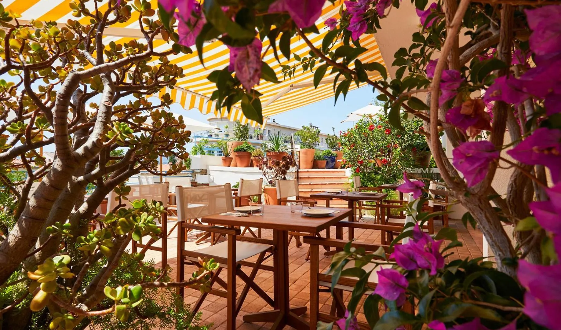 Hotel California Le Lavandou